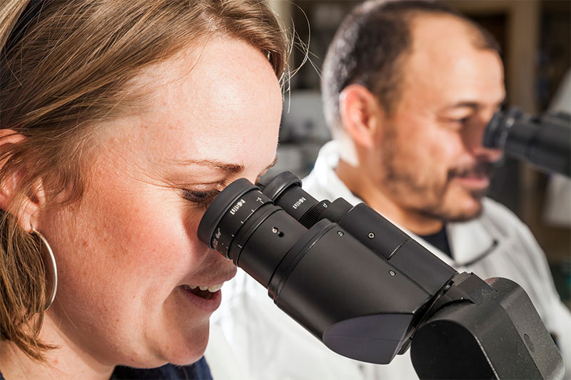 microscopes Pair of lab staff using microscopes