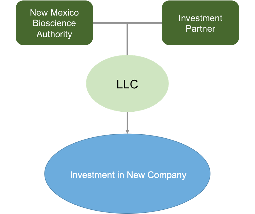 co-Investment_Model