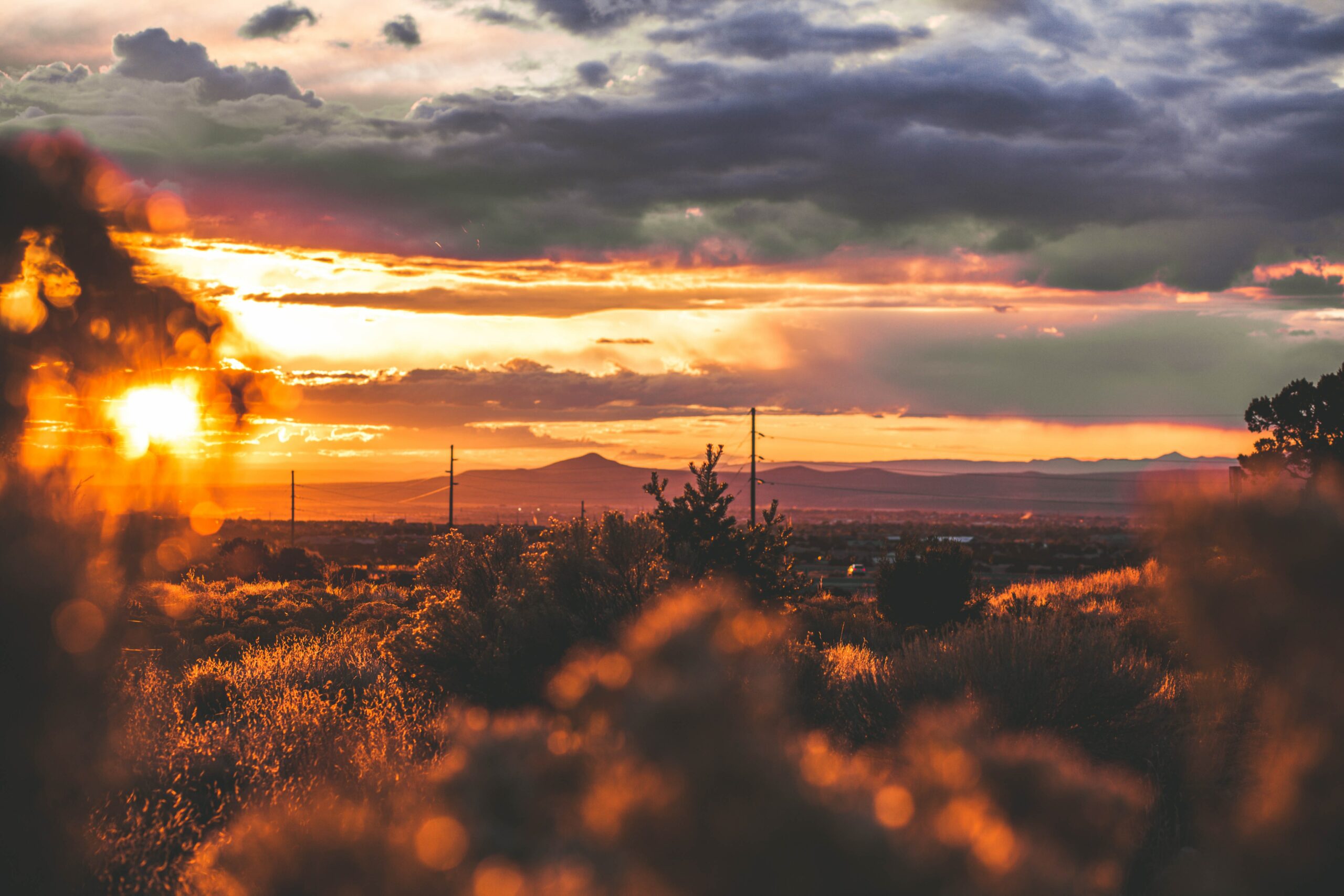 maddy-baker-DVze54aeK9k-unsplash