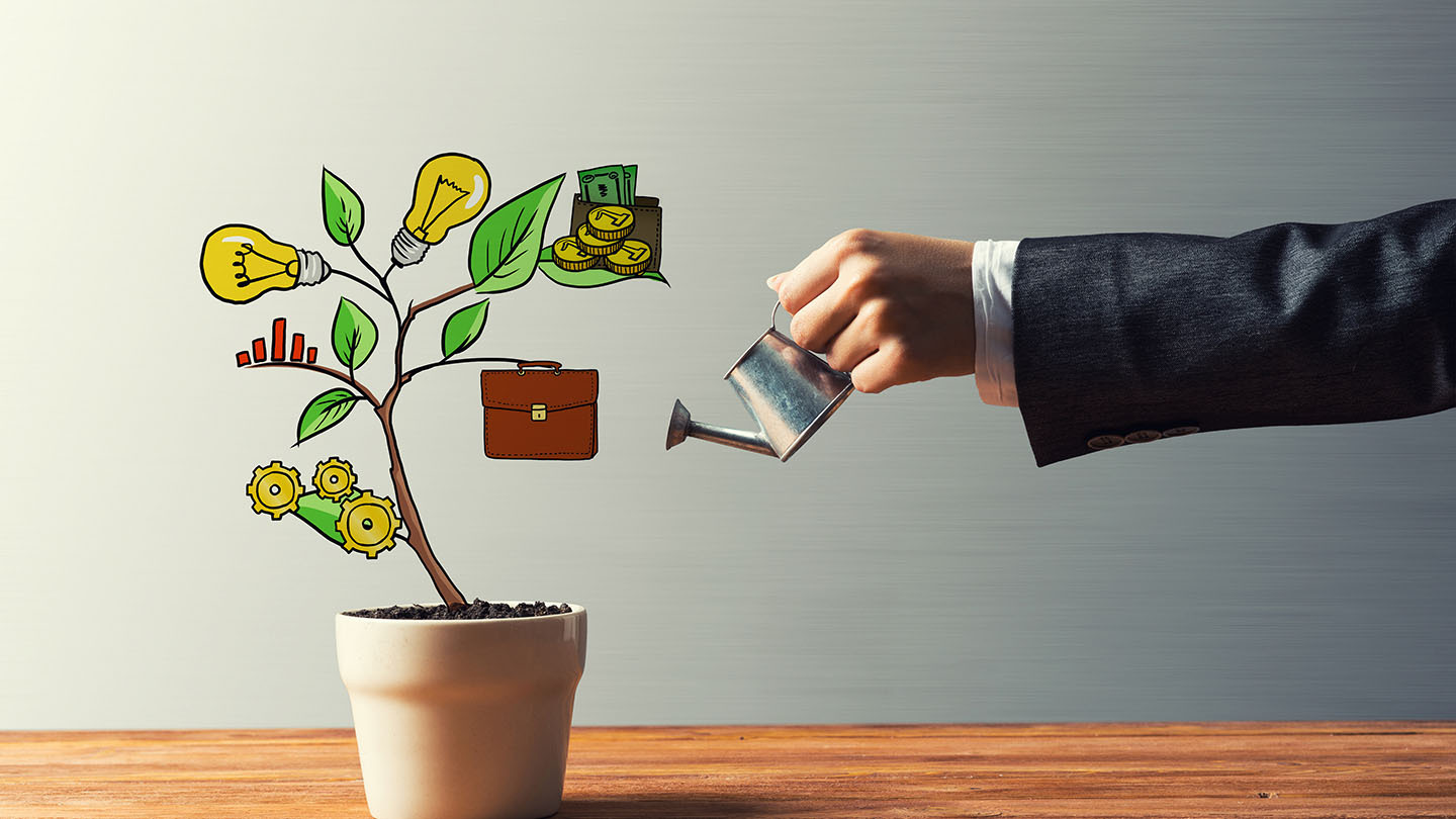 Drawn income tree in white pot for business investment savings and making money
